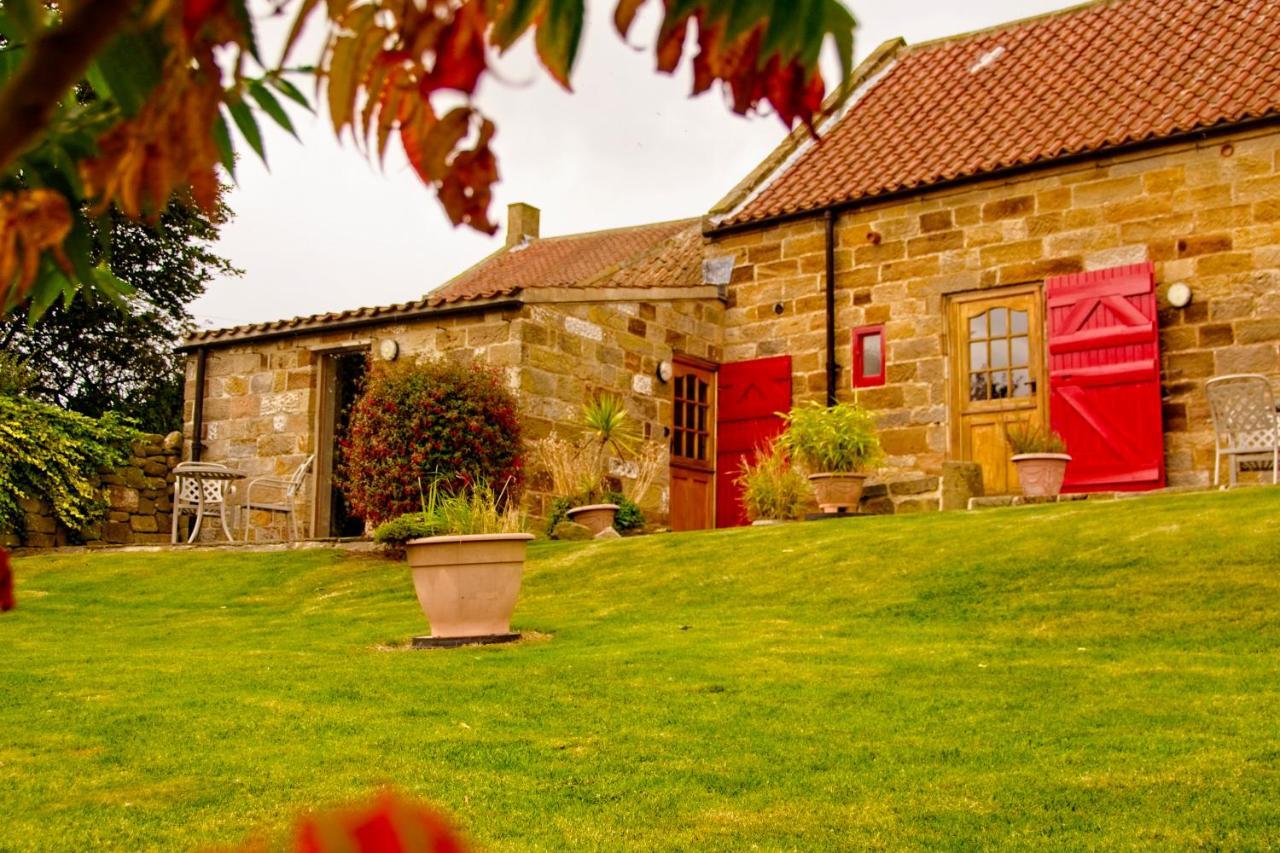 Sebright Cottage, Borrowby Farm Cottages Staithes Exterior photo